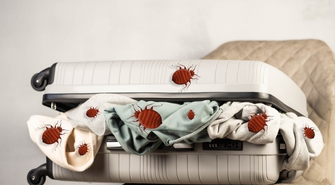 Przywiozłeś pluskwy z wakacji? Sprawdź, jak się ich pozbyć!