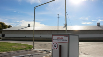 Jak ustrzec się ASF w hodowli trzody chlewnej?