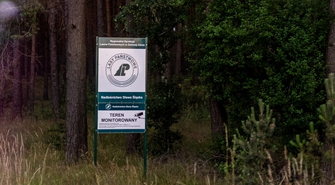 Wzmożone kontrole w lasach! Startuje akcja „Jesień 2024”