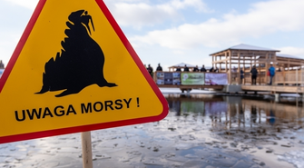 Wielkie morsowanie w Lginiu. Zlot już w styczniu