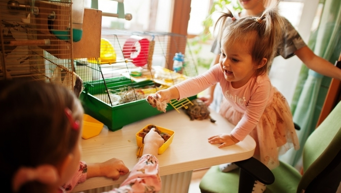 Rozwój motoryki małej przez zabawę – kreatywne pomysły     