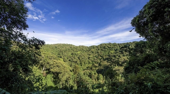 Uganda – dzika Afryka z bliska