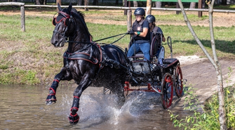 Mistrzostwa Polski w powożeniu zaprzęgami. Andrzej Rosiewicz zaśpiewa w sobotni wieczór