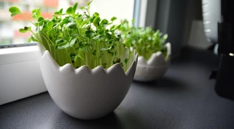 Dlaczego parapety stalowe to strzał w dziesiątkę?